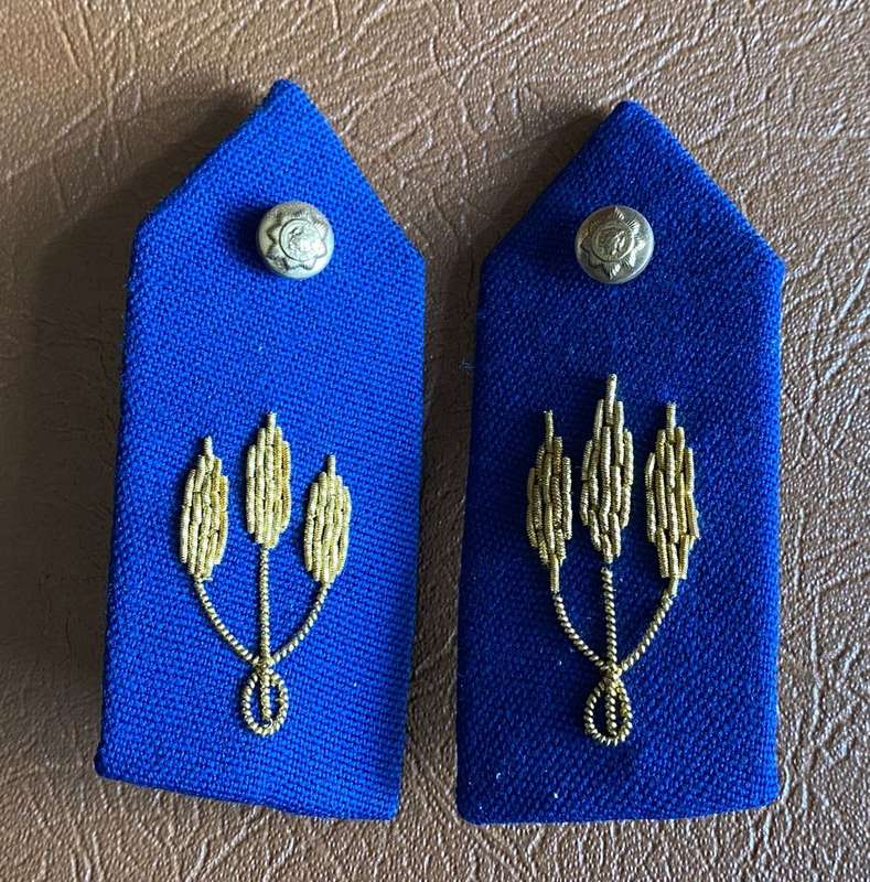 POLICE MAJOR TO COLONEL GORGET PATCH PAIR