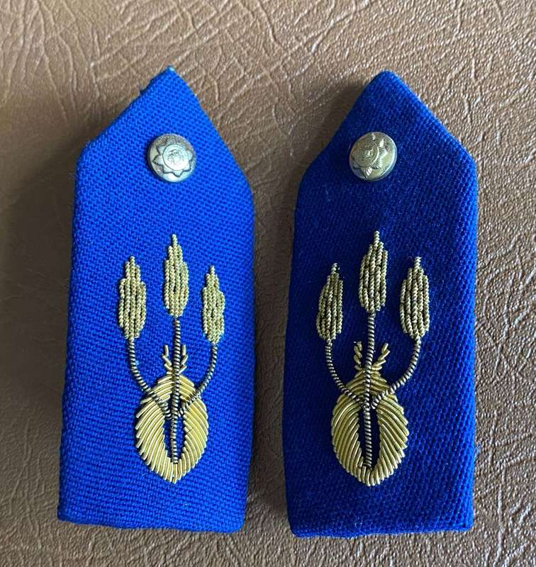 POLICE BRIGADIER GORGET PAIR