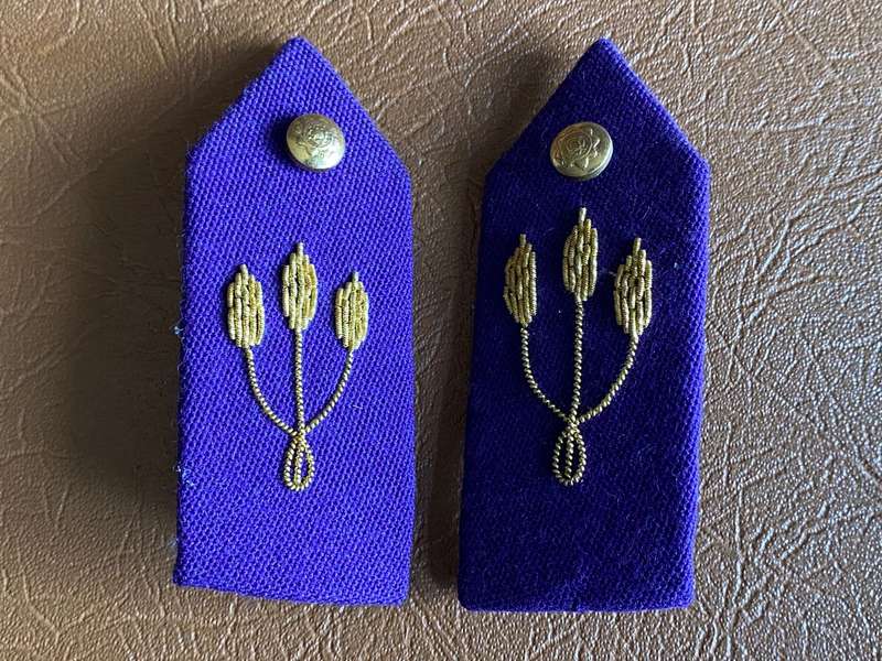 POLICE CHAPLAINS GORGET PATCH PAIR - MAJOR TO COLONEL