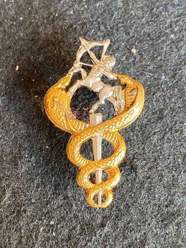 SA MEDICAL SERVICES BI/METAL-VETERINARY SURGEONS BREAST BADGE-APPROVED IN 1975- 3 PINS