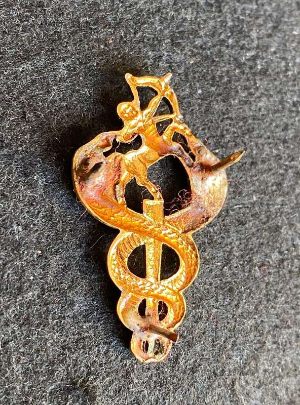 SA MEDICAL SERVICES BI/METAL-VETERINARY SURGEONS BREAST BADGE-APPROVED IN 1975- 3 PINS