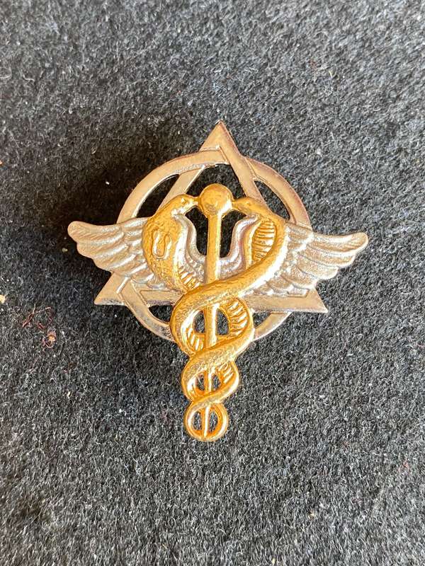 SA MEDICAL SERVICES-BI/METAL DENTIST'S BREAST BADGE-APPROVED 1992-VARIATION WITH STAFF- 3 PINS