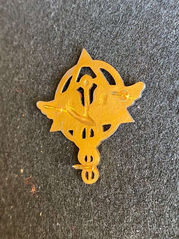 SA MEDICAL SERVICES-BI/METAL DENTIST'S BREAST BADGE-APPROVED 1992-VARIATION WITH STAFF- 3 PINS