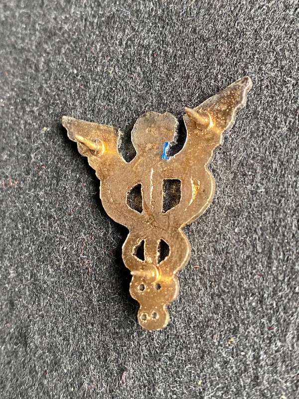 SAMS BI/METAL HEALTH OFFICERS BREAST BADGE- APPROVED 1991- 3 PINS