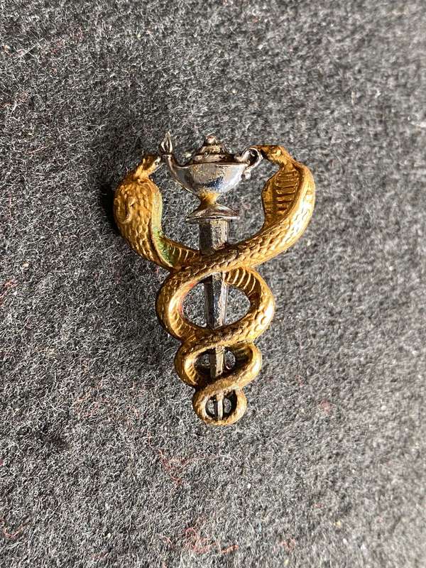 SAMS ,BI/METAL NURSING OFFICERS BREAST BADGE- 2 PINS