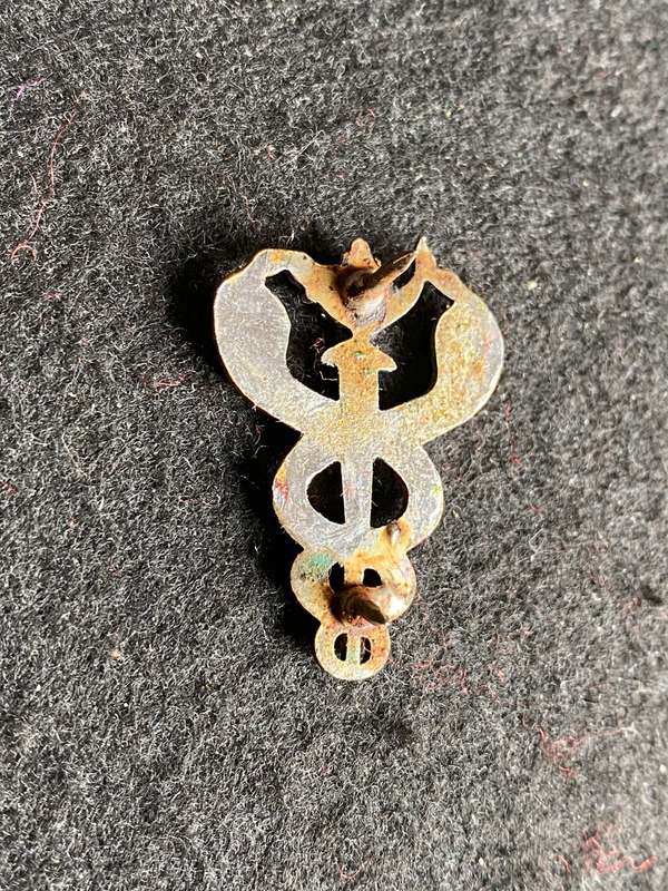 SAMS ,BI/METAL NURSING OFFICERS BREAST BADGE- 2 PINS