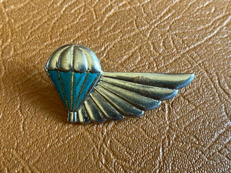 101 AIR SUPPLY WINGS-FULL SIZE - 2 PINS