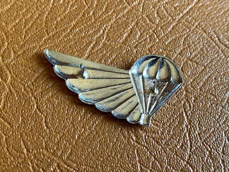 101 AIR SUPPLY WINGS-FULL SIZE - 2 PINS