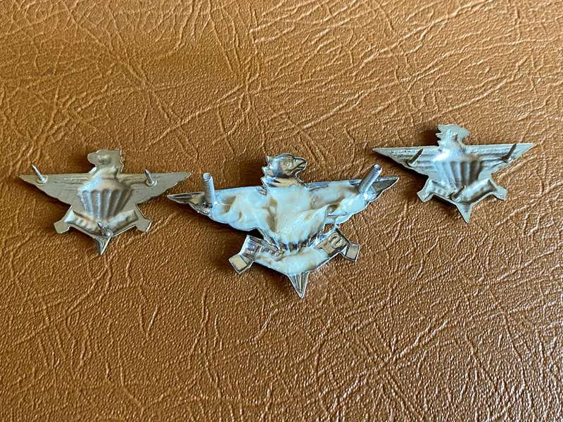 SADF 3 PARACHUTE BATTALION BERET AND COLLARS BADGES-PINS + LUGS COMPLETE