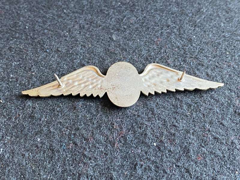 SADF SIZE PARATROOPER INSTRUCTOR WING- 2 PINS