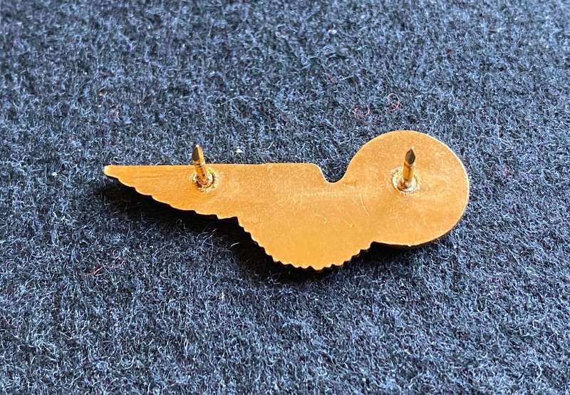 SAAF TEST ENGINEER GILT MESS DRESS WING- 2 PINS