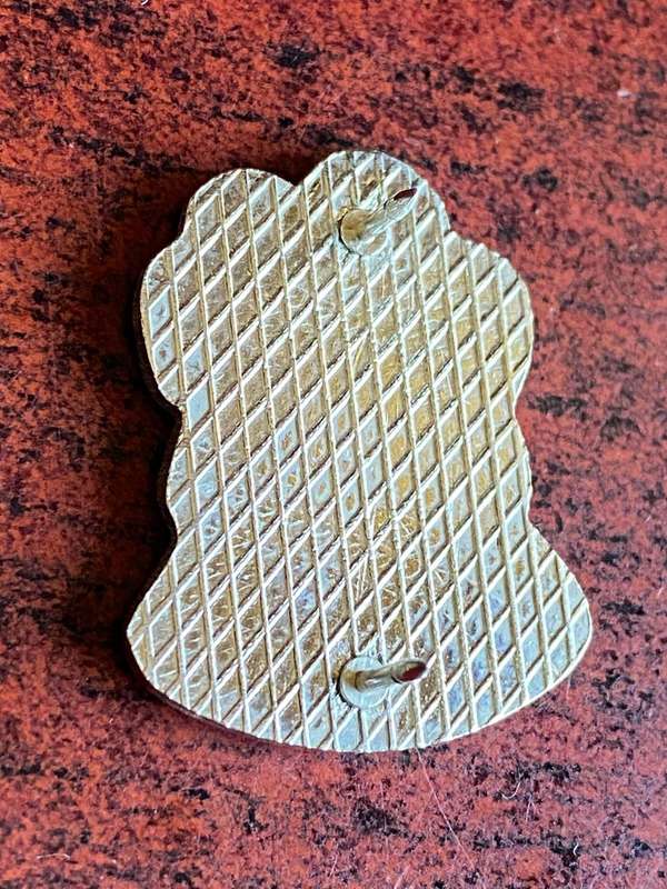 KRUGER NATIONAL PARK UNIT,CHROME AND ENAMEL CAP BADGE-APPROVED IN 1991- 2 PINS