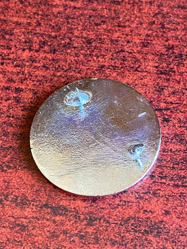12 SA INFANTRY BATT. INSTRUCTORS DOG HANDLERS BADGE-APPROVED IN 1995- 2 PINS