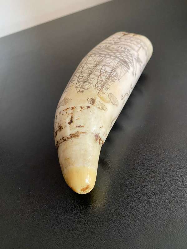 VINTAGE FAUX SCRIM SHAW SPERM WHALE TEETH DEPICTING SHIP SUSAN-LENGTH 16CM-DIAMETER 16 CM