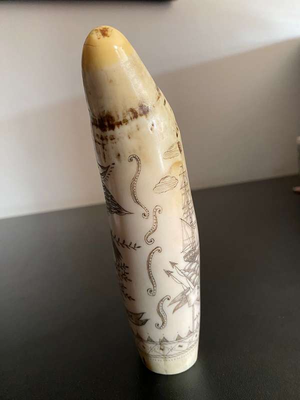 VINTAGE FAUX SCRIM SHAW SPERM WHALE TEETH DEPICTING SHIP SUSAN-LENGTH 16CM-DIAMETER 16 CM