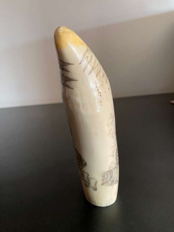 VINTAGE FAUX SCRIMSHAW SPERM WHALE TEETH DEPICTING KING GEORGE -LENGTH 14,5CM-DIAMETER 17,5CM