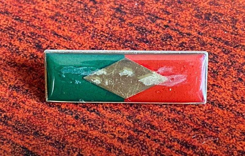 SWA INTELLIGENCE CORPS BERET BAR-GREEN BROWN/GOLD DIAMOND- 2 PINS