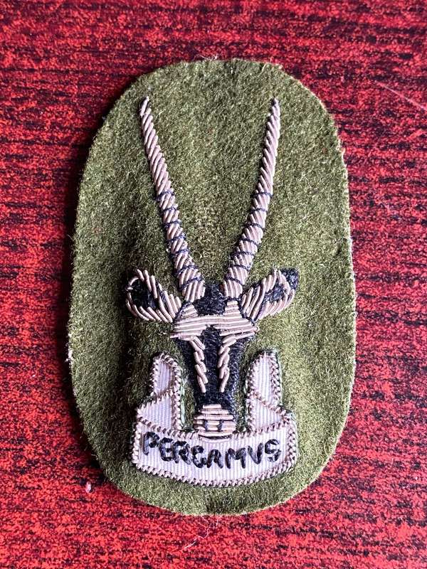 SWA SENIOR OFFICERS, NO STAFF QUALIFIED CAP BADGE-MEASURES 88X 48 MM