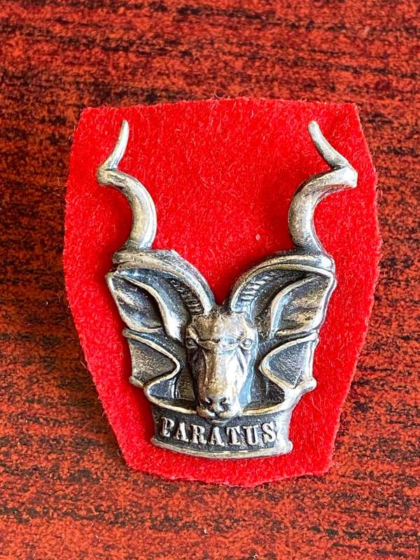 SWA AREA FORCE,OXIDISED SILVER CAP BADGE