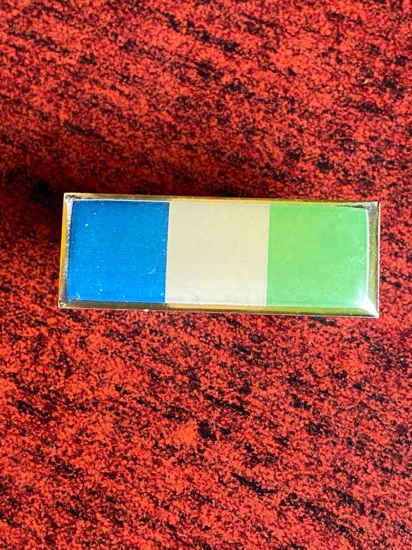 SIGNALS BERET BAR-ORIGINAL- 2 PINS