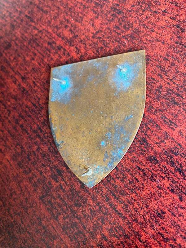 4 PARA BATALION FLASH- 3 PINS
