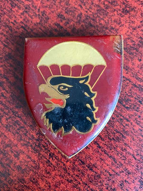 44 PARA BRIGADE HQ FLASH- 3 PINS