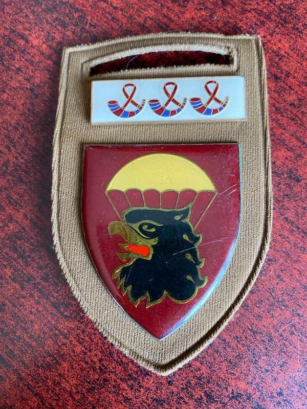 44 PARA BRIGADE HQ FLASH- PINS COMPLETE