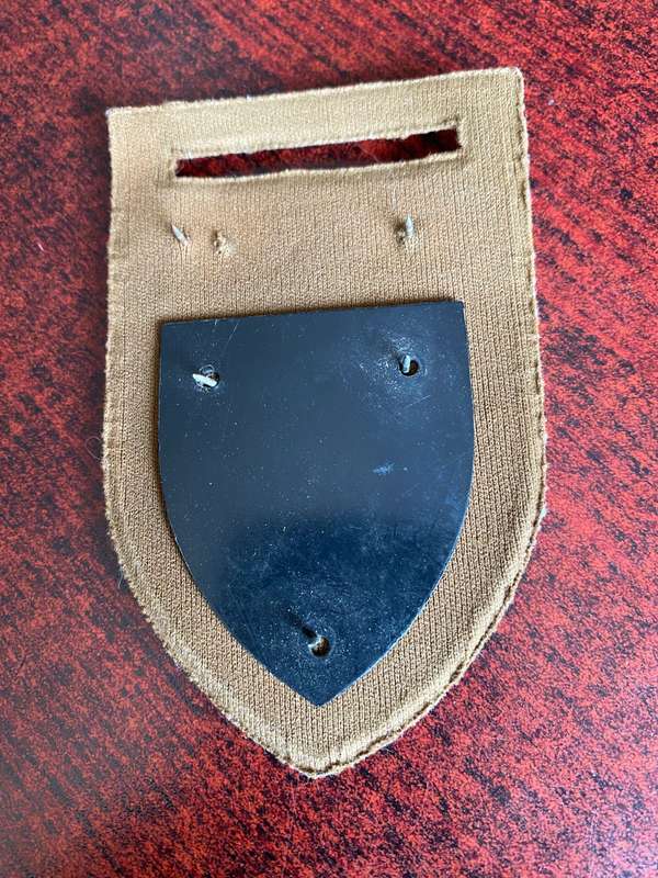 44 PARA BRIGADE HQ FLASH- PINS COMPLETE