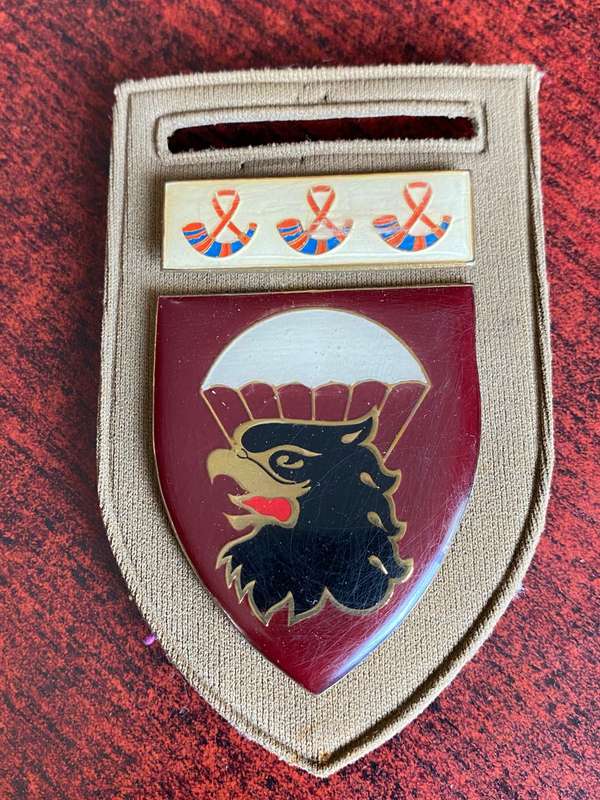 44 PARA BRIGADE HQ FLASH-PINS COMPLETE