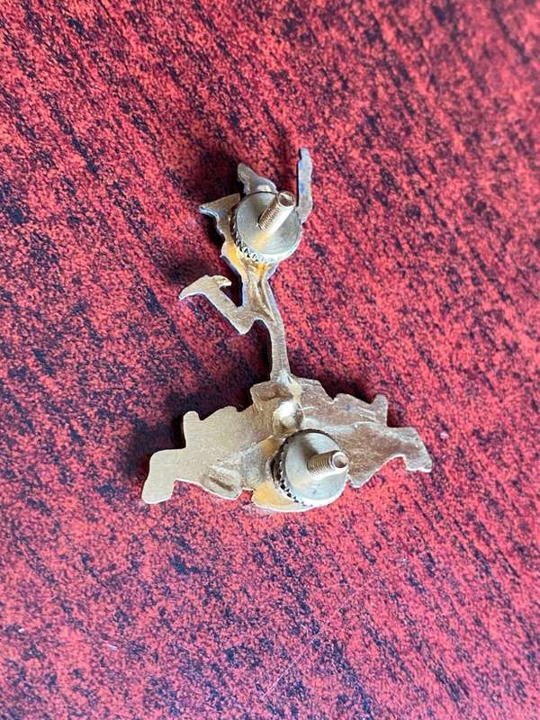 TRANSKEI SIGNALS CAP BADGE- 2 X LUGS