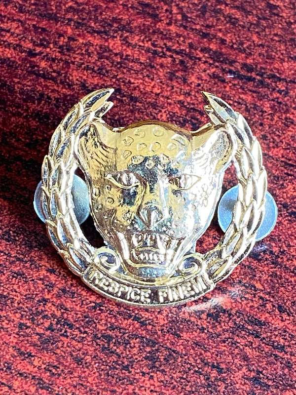 10 SA INFANTRY BATTALION GILT CAP BADGE-APPROVED 1997- 2 PINS