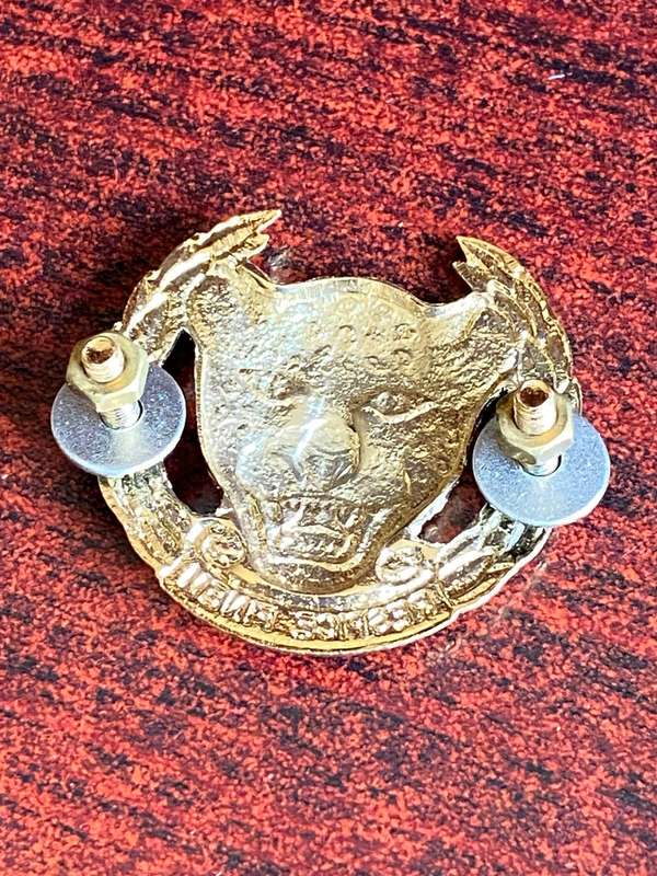 10 SA INFANTRY BATTALION GILT CAP BADGE-APPROVED 1997- 2 PINS