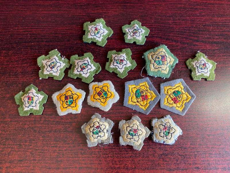 LARGE SELECTION OF SADF OFFICERS PIPS- 15 IN TOTAL