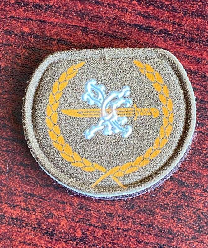 SWA UNIDENTIFIED PROFICIENCY BREAST BADGE