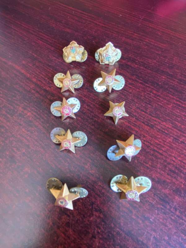 SADF OFFICERS RANK PIPS- 10 IN TOTAL - ALL ARE MESS DRESS SIZE