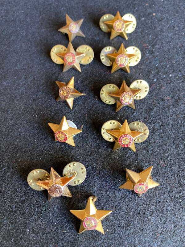 SADF OFFICERS RANK PIPS-MESS DRESS- 11 SOLD TOGETHER- 1960'S-1970'S