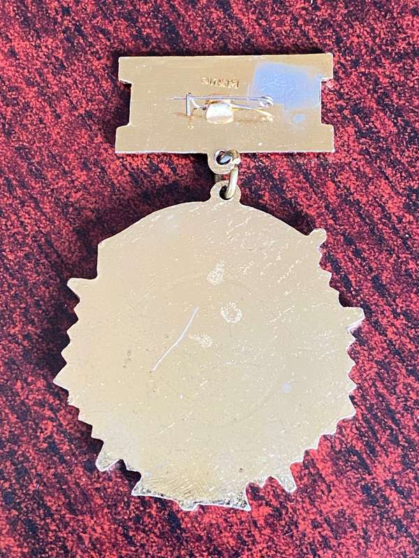 RUSSIAN MEDAL OF AIR FORCE OF PILOTS 50TH ANNIVERSARY OF SCHOOL