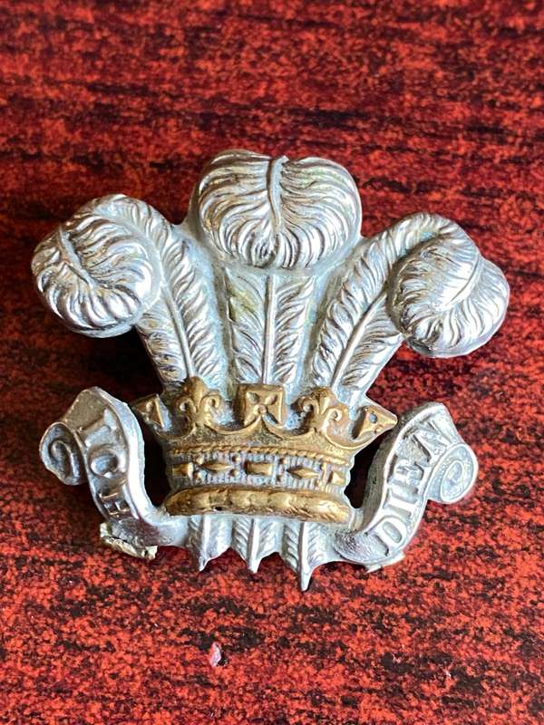 WILTSHIRE YEOMARY COLLAR BADGE-WORN 1900'S- 2 LUGS
