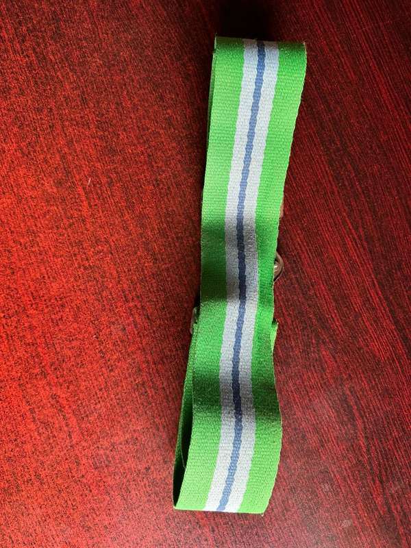 2 SIGNAL REGIMENT STABLE BELT- EXTENDED LENGTH 107 CM
