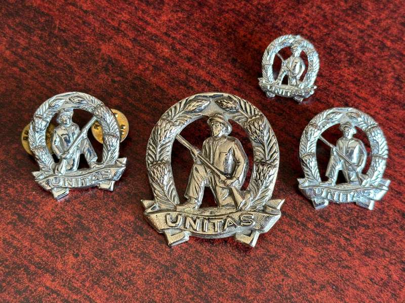 COMMANDOS CHROME CAP,COLLARS AND ONE MESS DRESS COLLAR-LUGS + PINS COMPLETE
