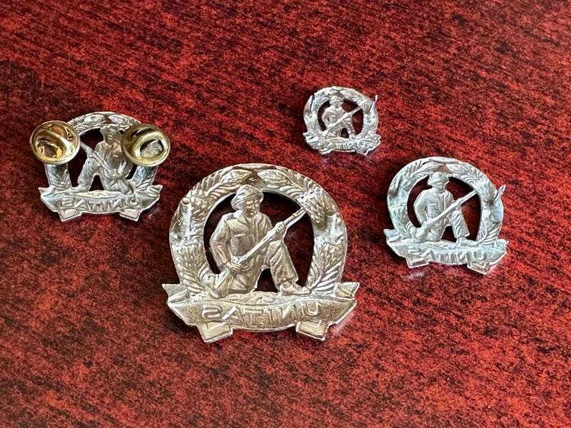 COMMANDOS CHROME CAP,COLLARS AND ONE MESS DRESS COLLAR-LUGS + PINS COMPLETE