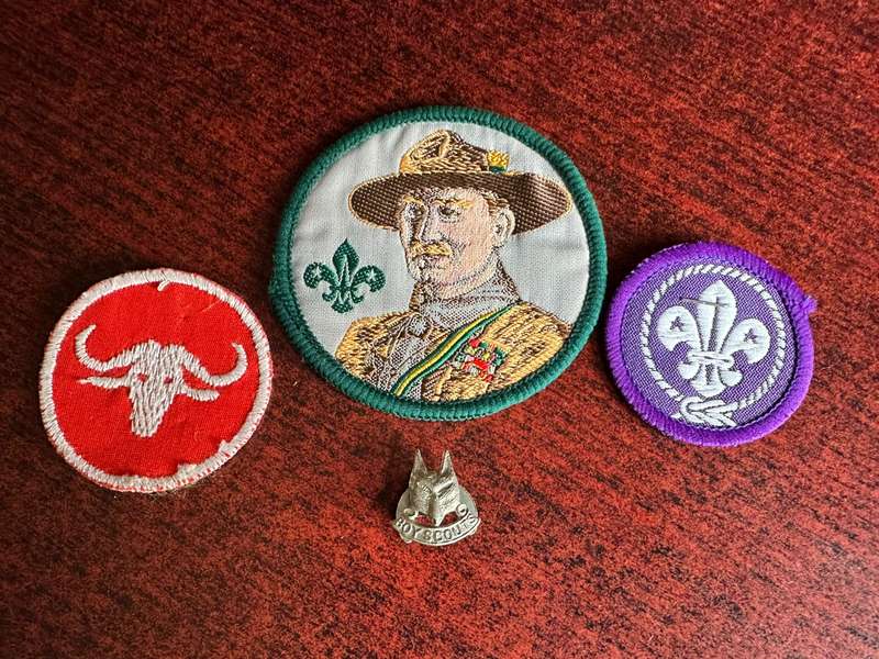 SELECTION OF BOY SCOUTS BADGES