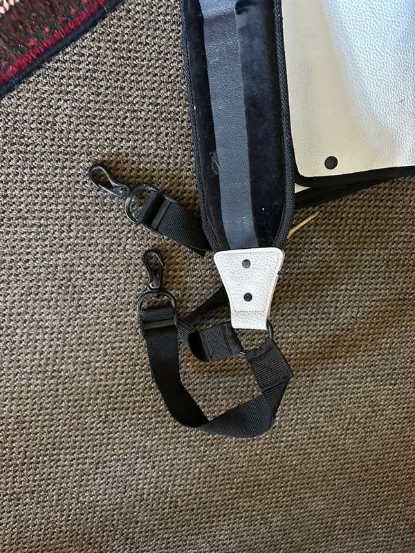 PING G10 DLX CART BAG-PRO CIRCUIT-THIS BAG IS IN VERY GOOD CONDITION,WITH ALL ZIPS WORKING-COMES WIT