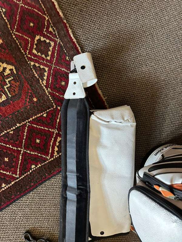 PING G10 DLX CART BAG-PRO CIRCUIT-THIS BAG IS IN VERY GOOD CONDITION,WITH ALL ZIPS WORKING-COMES WIT