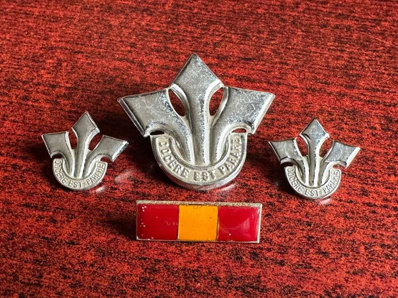 CORPS OF PROFESSIONAL OFFICERS CHROMED CAP,COLLARS AND BERET BAR-APPROVED 1978-LUGS + PINS INTACT