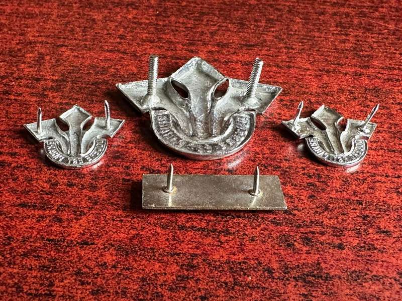 CORPS OF PROFESSIONAL OFFICERS CHROMED CAP,COLLARS AND BERET BAR-APPROVED 1978-LUGS + PINS INTACT