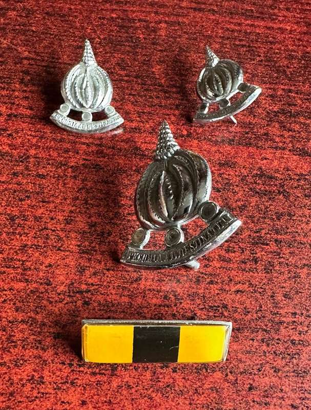 FINANCES SERVICES CORPS CAP,COLLARS AND BERET BAR-APPROVED 1973-LUGS + PINS COMPLETE
