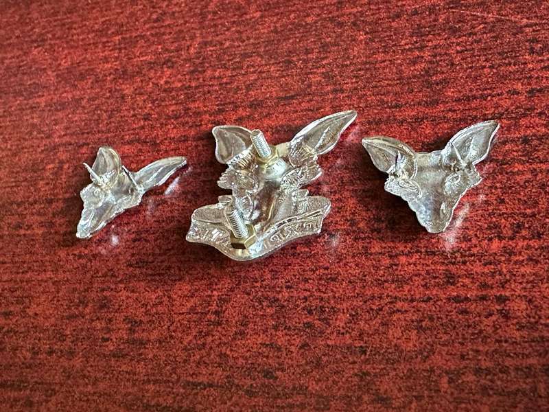 SA INTELLIGENCE CORPS,CHROMED CAP AND COLLARS-LUGS + PINS INTACT