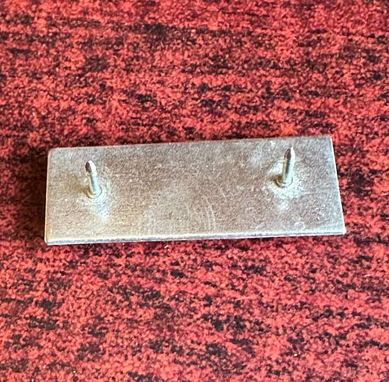 REGT. PRESIDENT STEYN BERET BAR- 2 PINS