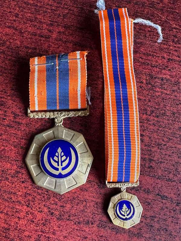 FULL SIZE AND MINIATURE PRO PATRIA MEDALS